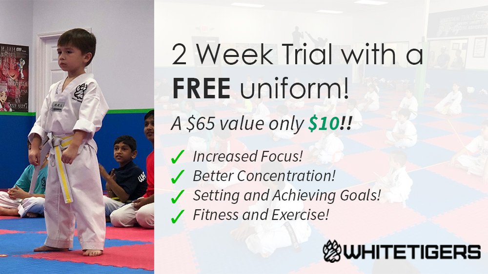 2-week-martial-arts-promotion