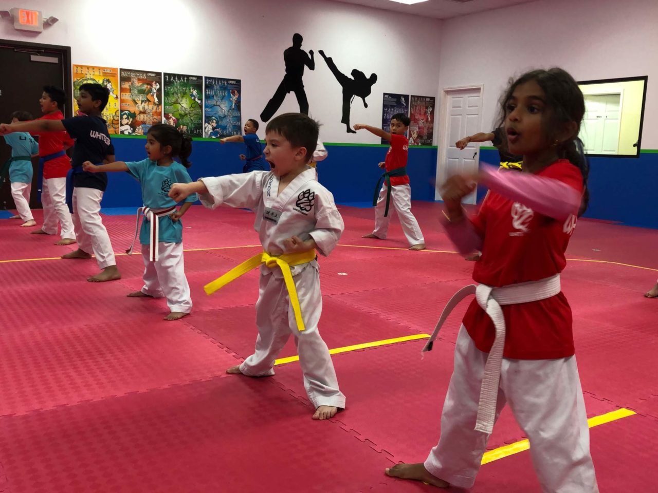 About Elite Whitetigers Taekwondo | Martial Arts in Sienna Plantation ...