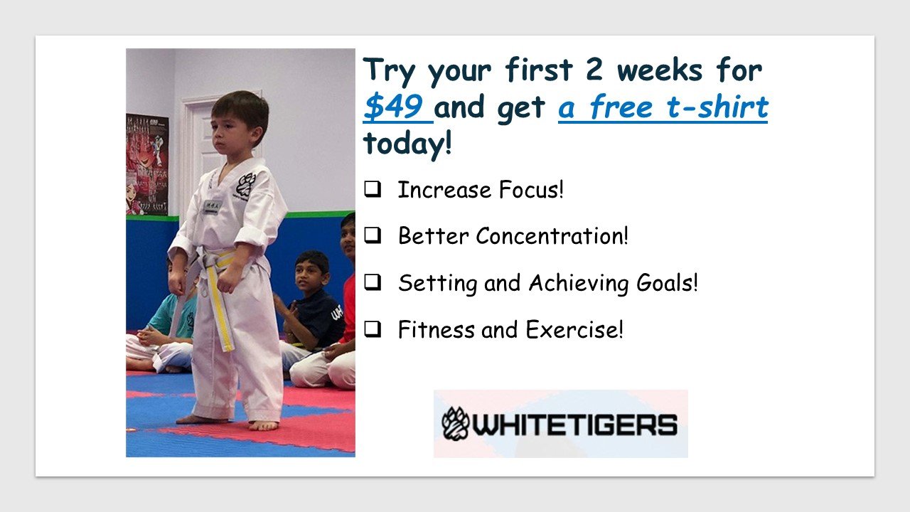 2-week-martial-arts-promotion